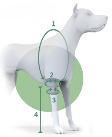 sketch loketní chránič